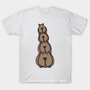 Leaning Tower or capybara T-Shirt